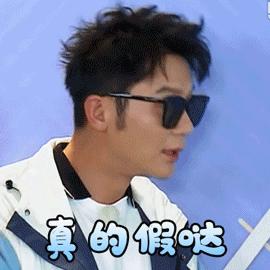 石家庄市区哪里有河间驴肉馆,石家庄因村驴肉哪家好吃