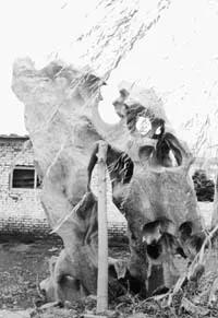 怪异的奇石,怪异奇石风景图片