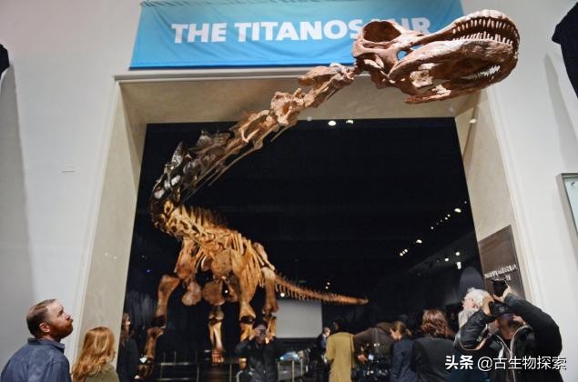 泰坦龙是最大的恐龙吗,世界上最高的恐龙是泰坦巨龙吗
