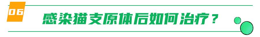 支原体感染家里有猫,猫的支原体感染会传染人吗