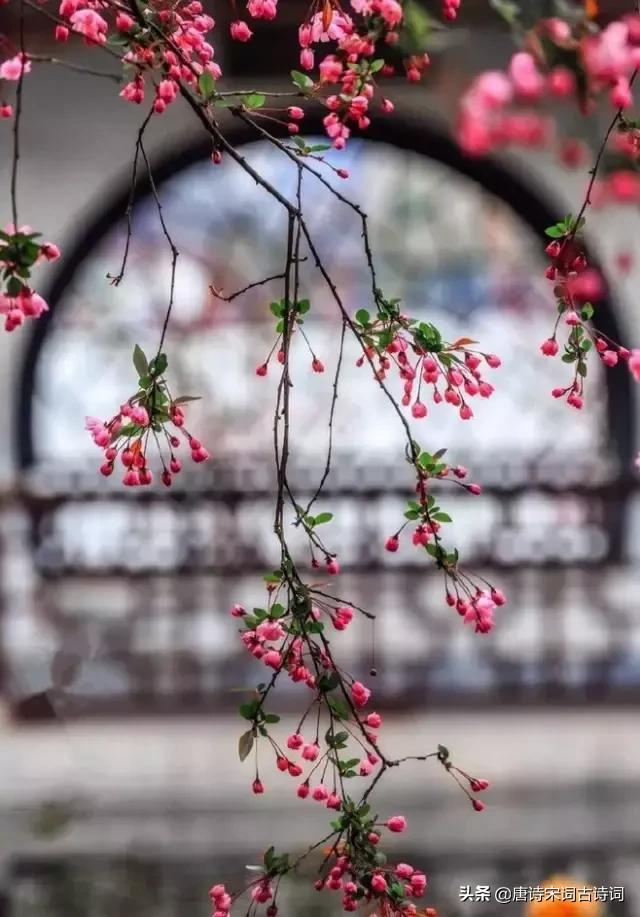 古诗词拨动了我的心弦,拨动我心弦古诗词