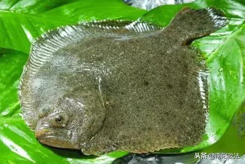 呀嚯！本期鸭货上榜多，商家可能要压货！