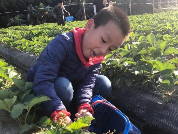 每天闯大思坚持快3年，英语听说成为他的最大优势