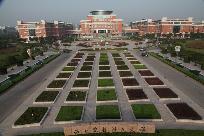 实力强劲的西北农林科技大学，为何在985院校中并不显眼？