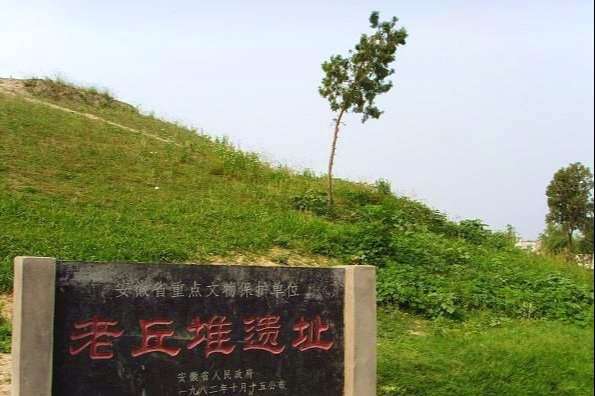 阜阳人口最多的一个县，被誉为“杂技之乡”，如今正在慢慢变好