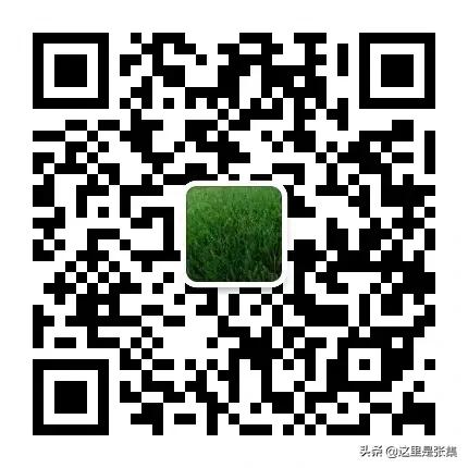 徐州足球联赛直播,江苏徐州足球比赛直播时间