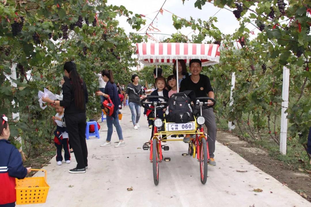 盘锦大洼区旅游攻略,盘锦大洼旅游