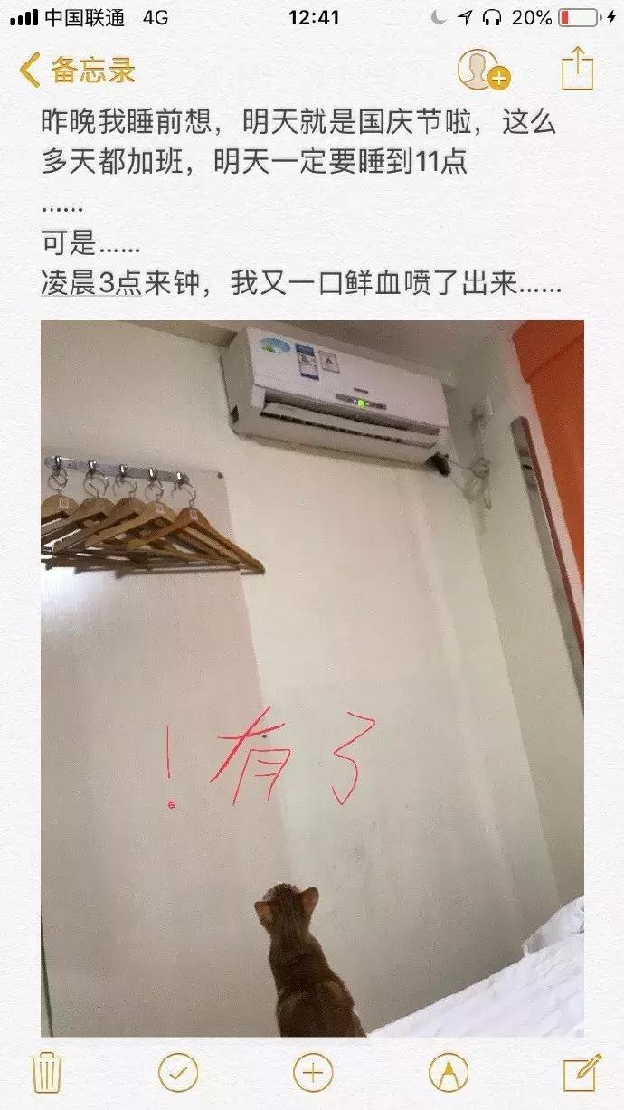 被猫踩了一脚出了一点点血,猫咪被人踩了一脚口吐白沫
