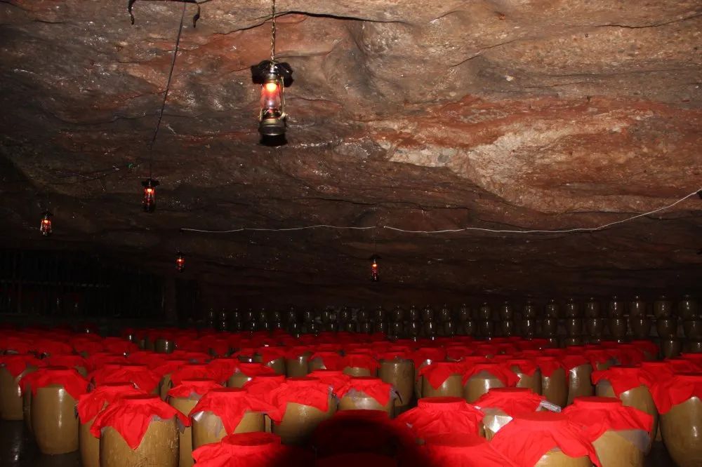 又是人间四月天踏青赏花正当时,正是人间芳菲时