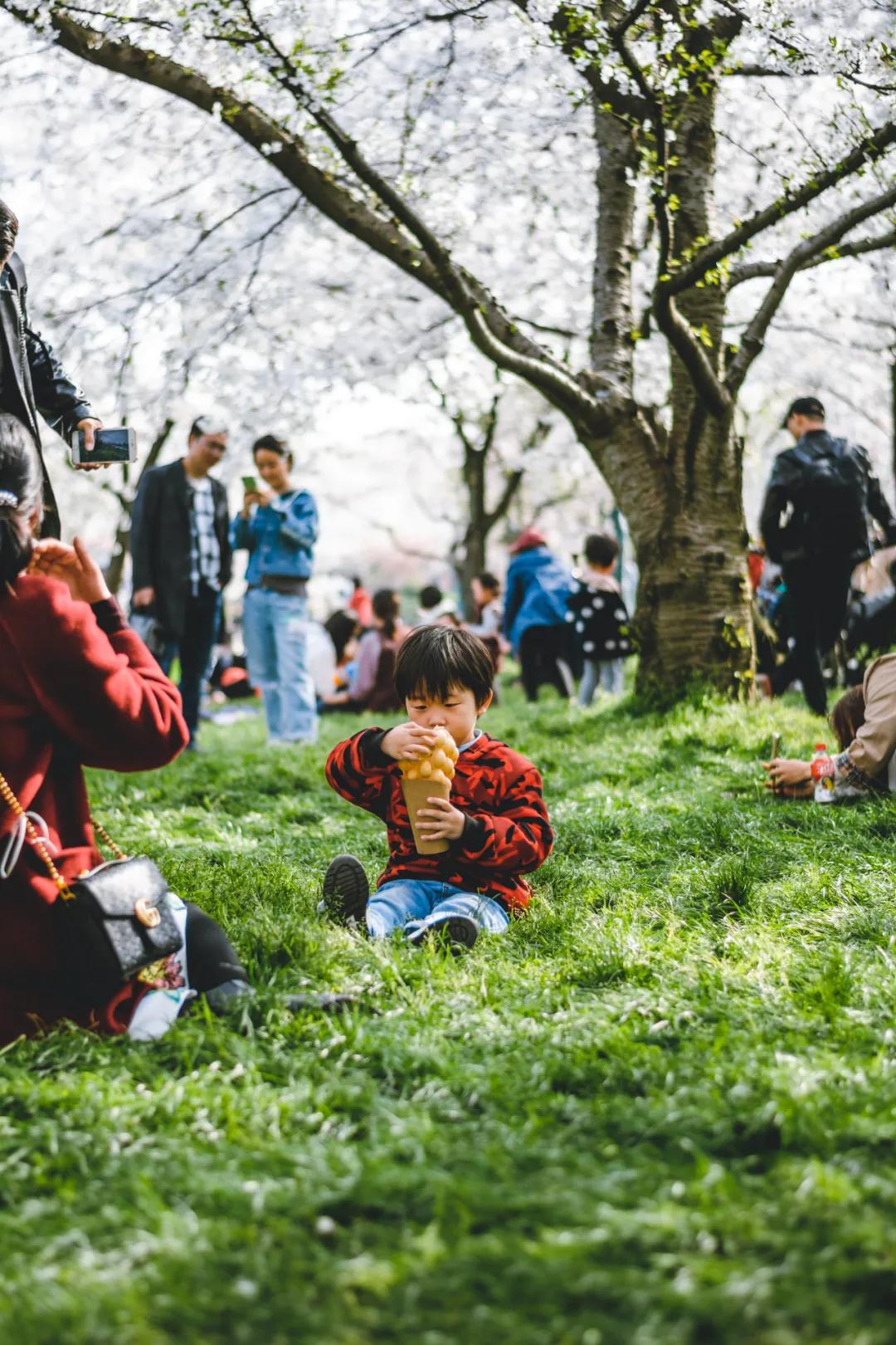 武汉的名字来自哪里,武汉的名字的历史