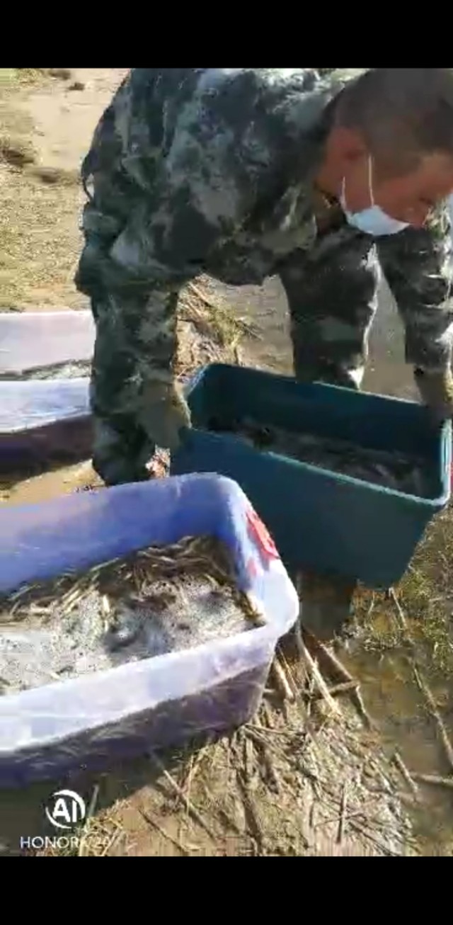 串之人生感108———错位