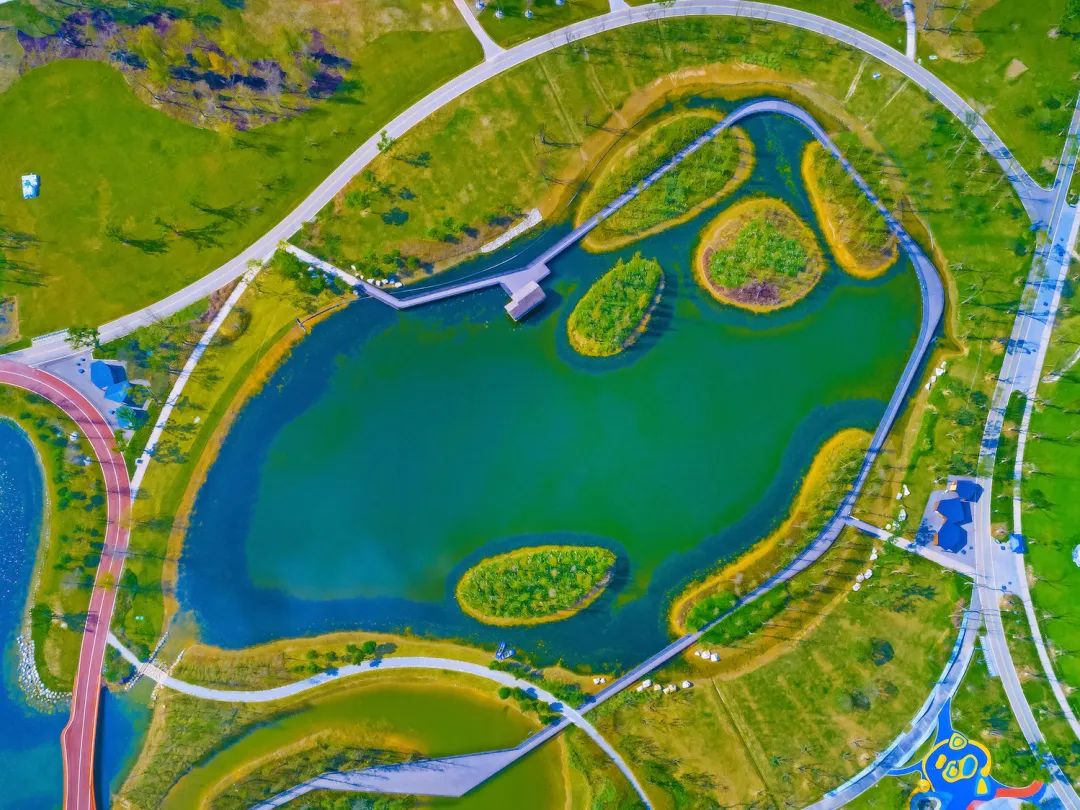 成都哪里的绿道最好,成都绿道最好的地方