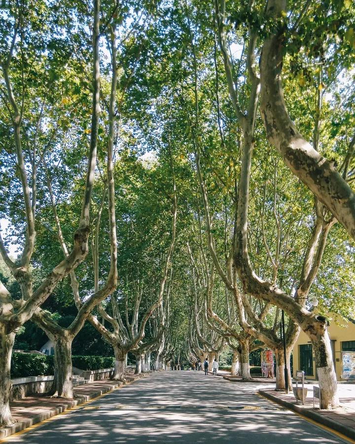 江苏省省长河海大学,江苏省河海大学