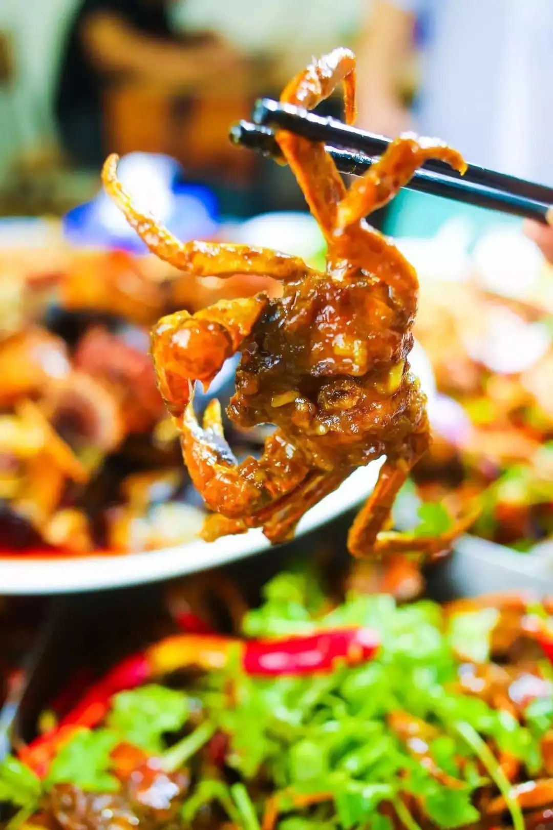 广东什么螃蟹好吃,广东什么螃蟹最多