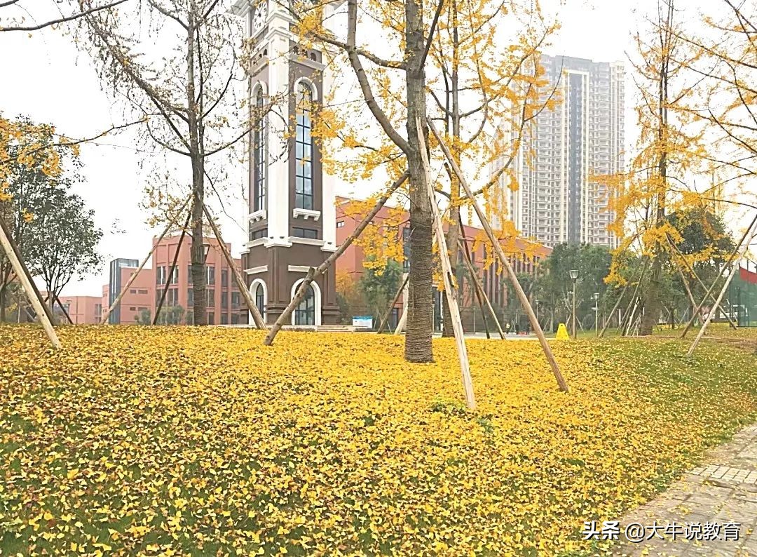 重庆一中高中本部怎么样,重庆一中文科高考排名前50