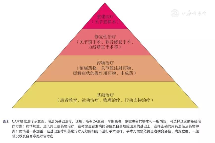 膝关节软骨移植手术风险大吗,膝关节软骨移植手术后多久能康复