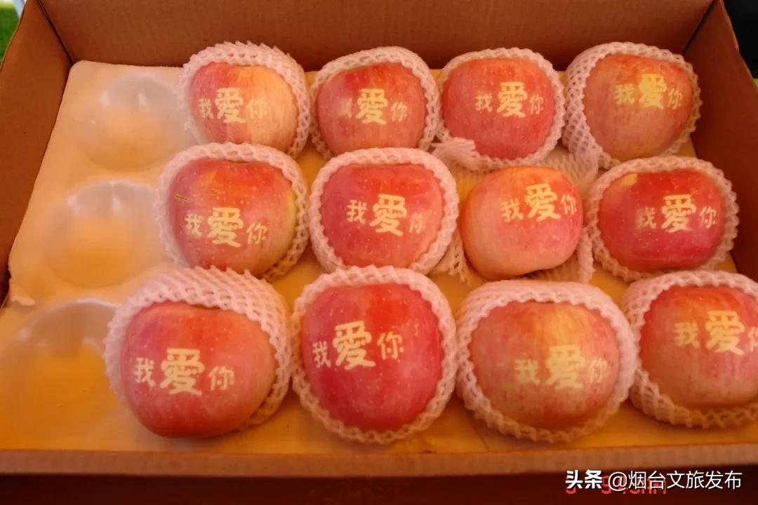 烟台文化名片,烟台苹果莱阳梨特色