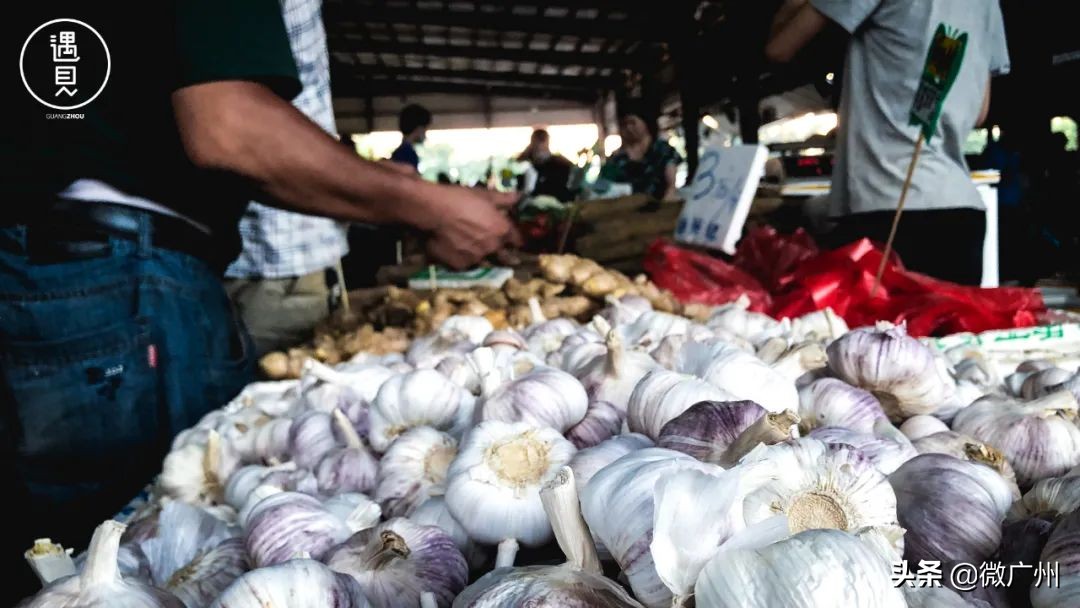 广州芳村未来发展趋势,广州荔湾芳村cbd