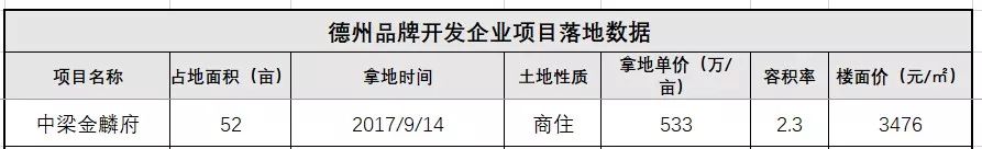 德州房地产开发商排名,德州龙头房地产企业