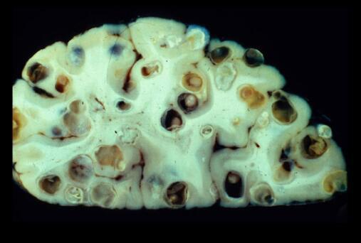 你知道人为什么要吃东西吗,你知道为啥人不能吃得太饱吗