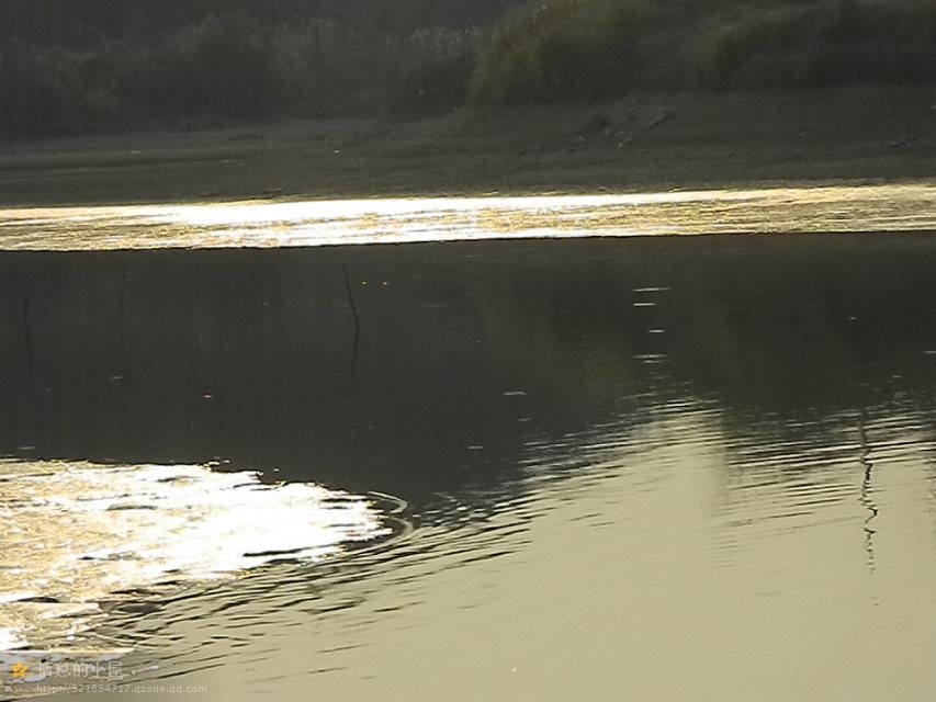 承包一片鱼塘,承包一个鱼塘的前景