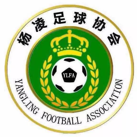 杨凌足球协会最新消息,杨凌足球比赛视频