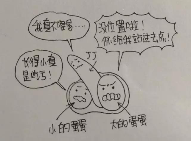 男人生殖器有点“歪”，要紧吗？听听科学的答案