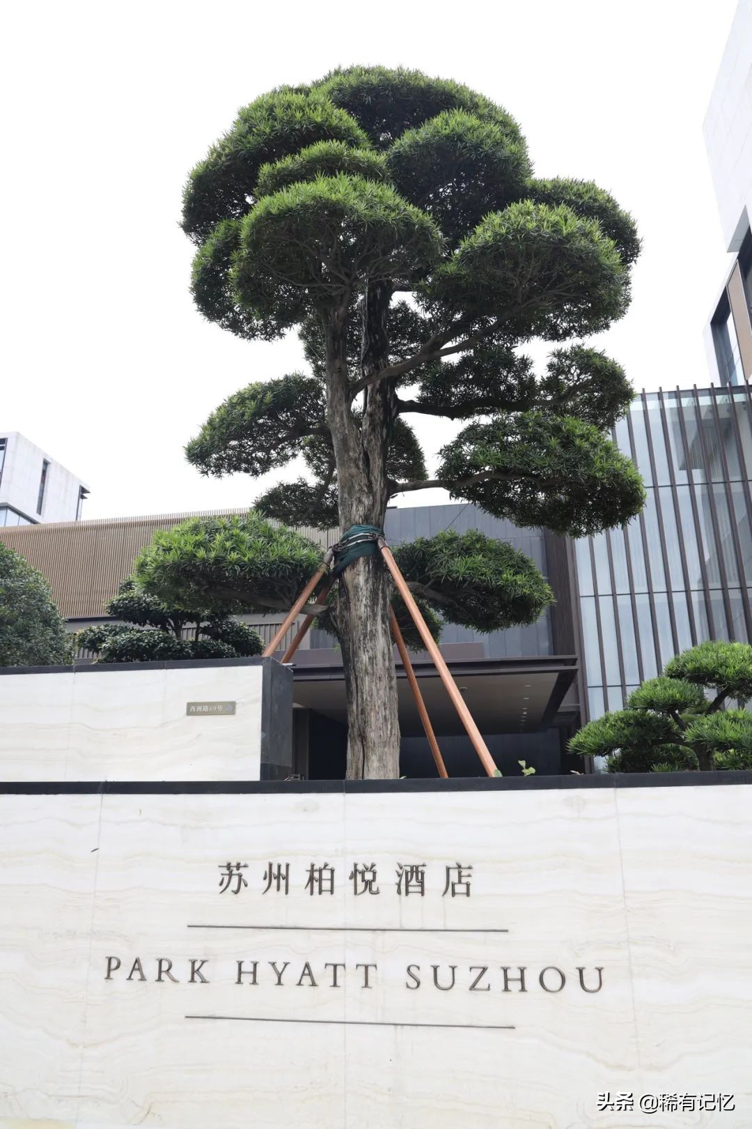 苏州顶奢酒店推荐,在苏州最高酒店住一晚是什么体验