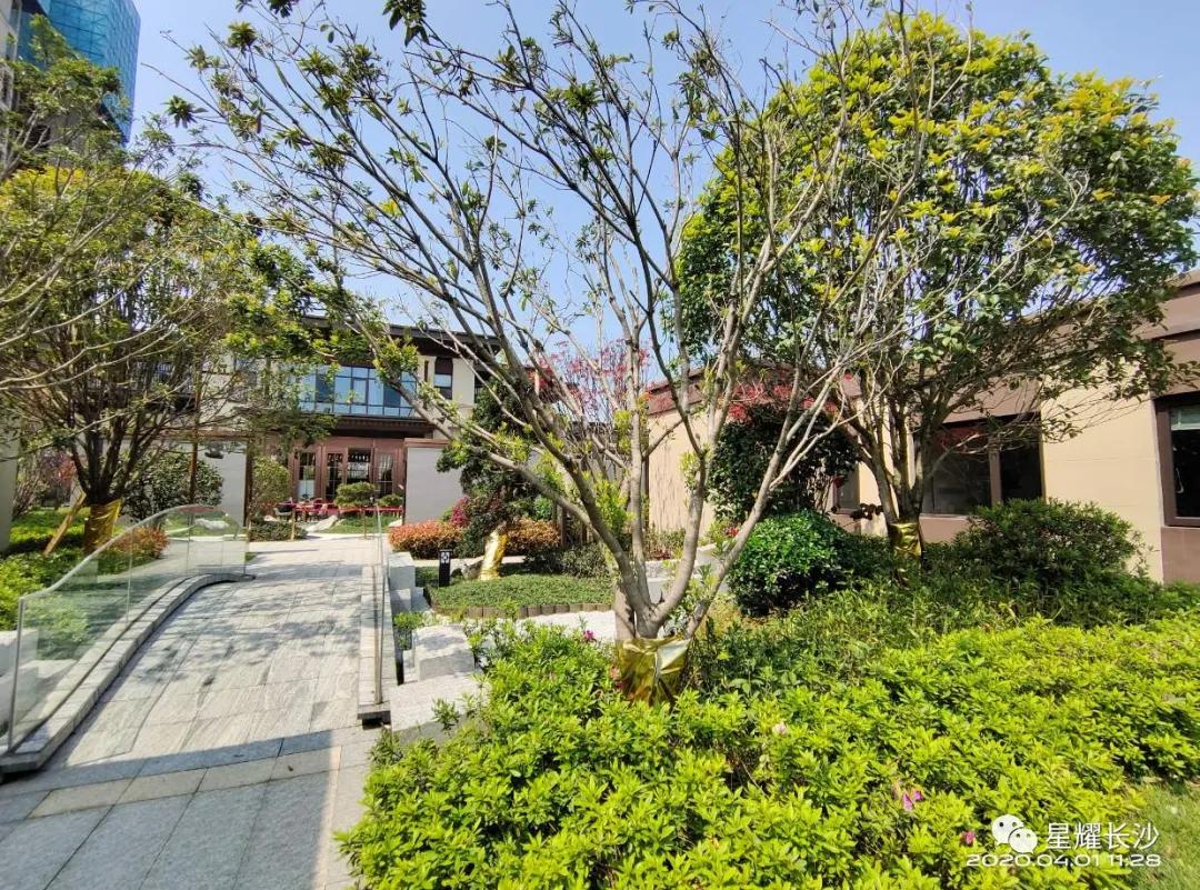 盯紧!长沙又一个价值爆点!地铁口,临湘江,均价仅6398