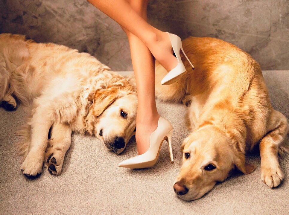 高跟鞋可以性感到什么程度？BrianAtwood独领风骚