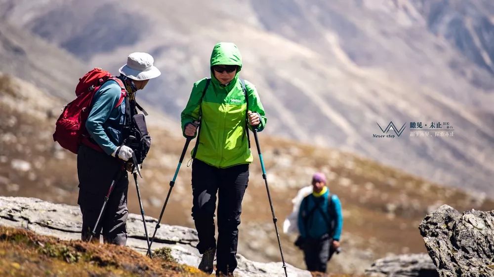 高山之巅的感悟,高山低谷的感悟