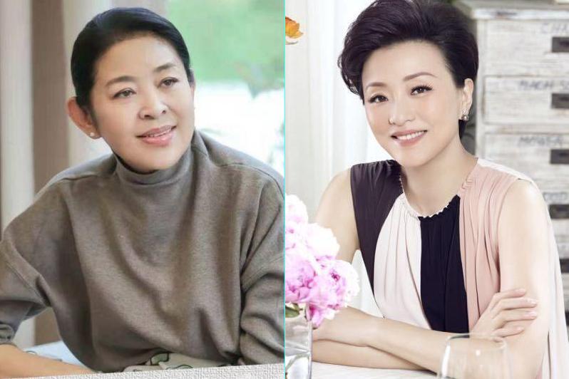 央视退休主持人今昔对比,高逸峰倪萍赵忠祥杨澜鲁豫访谈