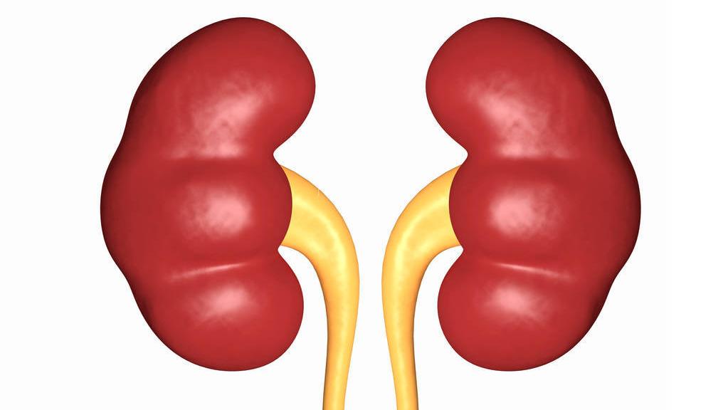 导致尿黄的各种原因,解小便感到小便烫是什么原因