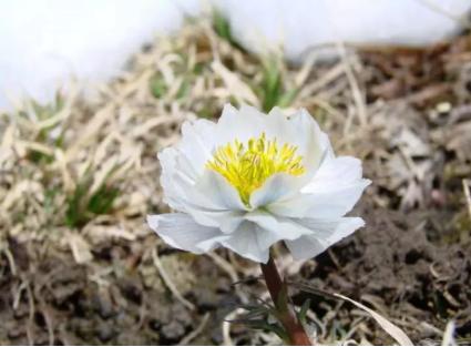 看起来很贵其实很便宜的居家好物,看起来很便宜其实很贵的物品