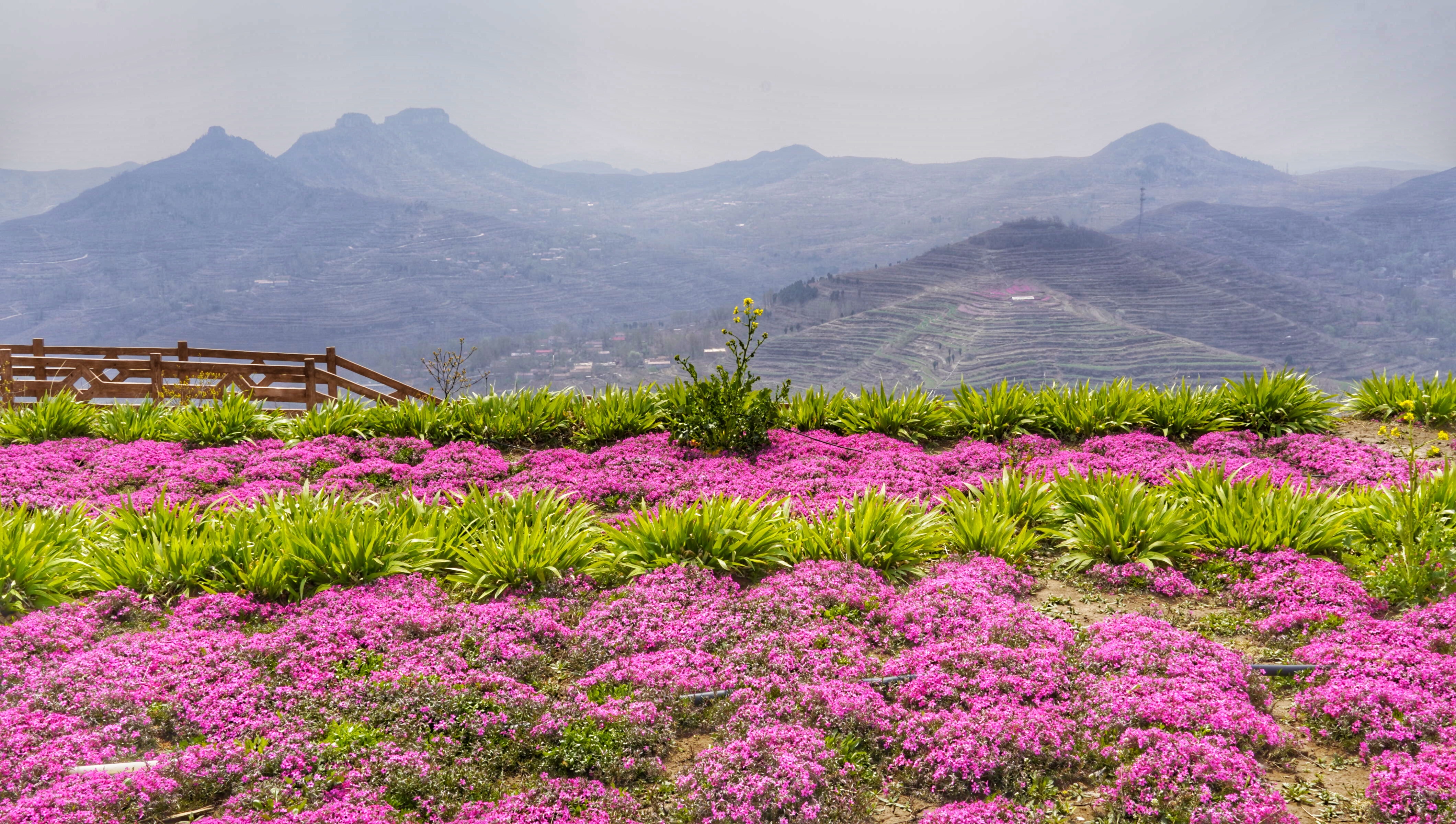 探访沂蒙山,蒙阴县岱崮镇岱崮地貌景区