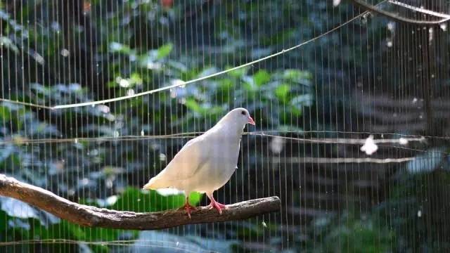 南山青青世界风景区,南山青青世界公园有什么