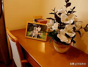 广州市天河区岭南养生谷养老院,广州颐寿养老院一览表