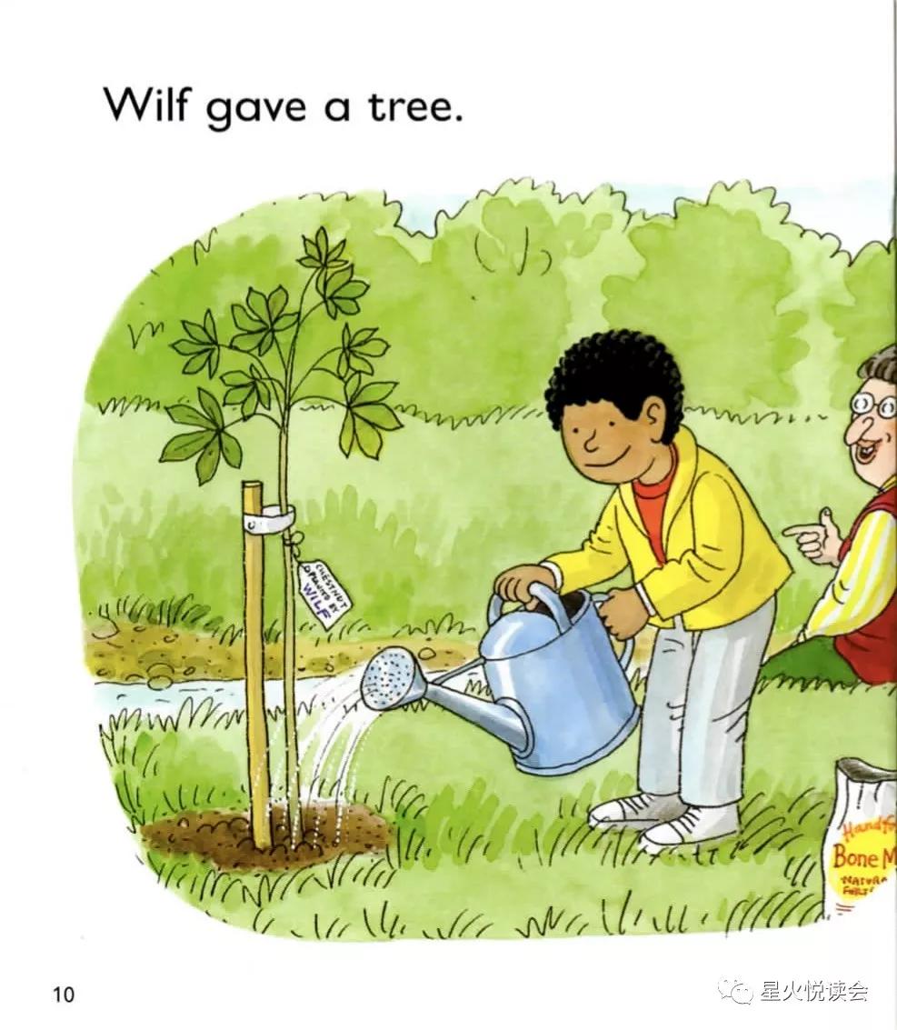 newtrees牛津英语绘本,牛津树第二级英文绘本