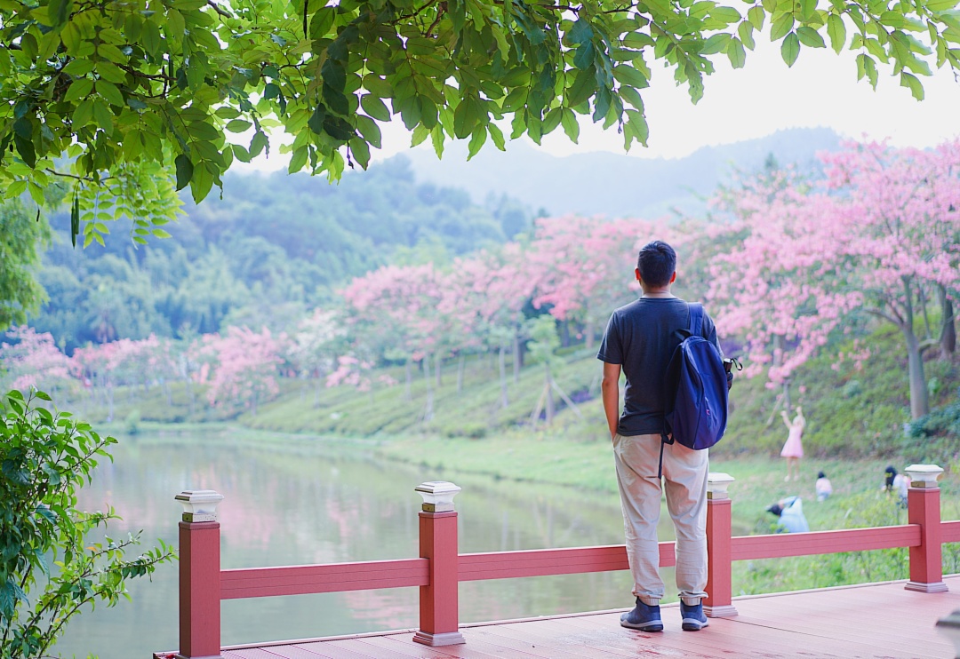 森波拉森林景区,广东清远森波拉旅游度假区