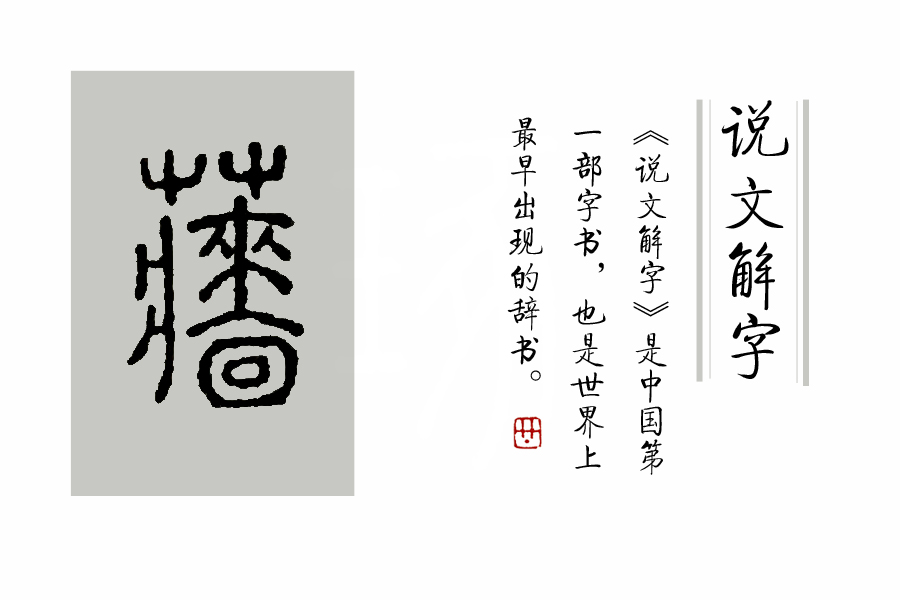 《说文解字》第72课：古文字里的“扫帚菜”？