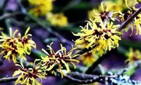 火山泥真是宝,油皮女孩的毛孔疏通剂,让贵妇霜3秒吃透锁水8倍