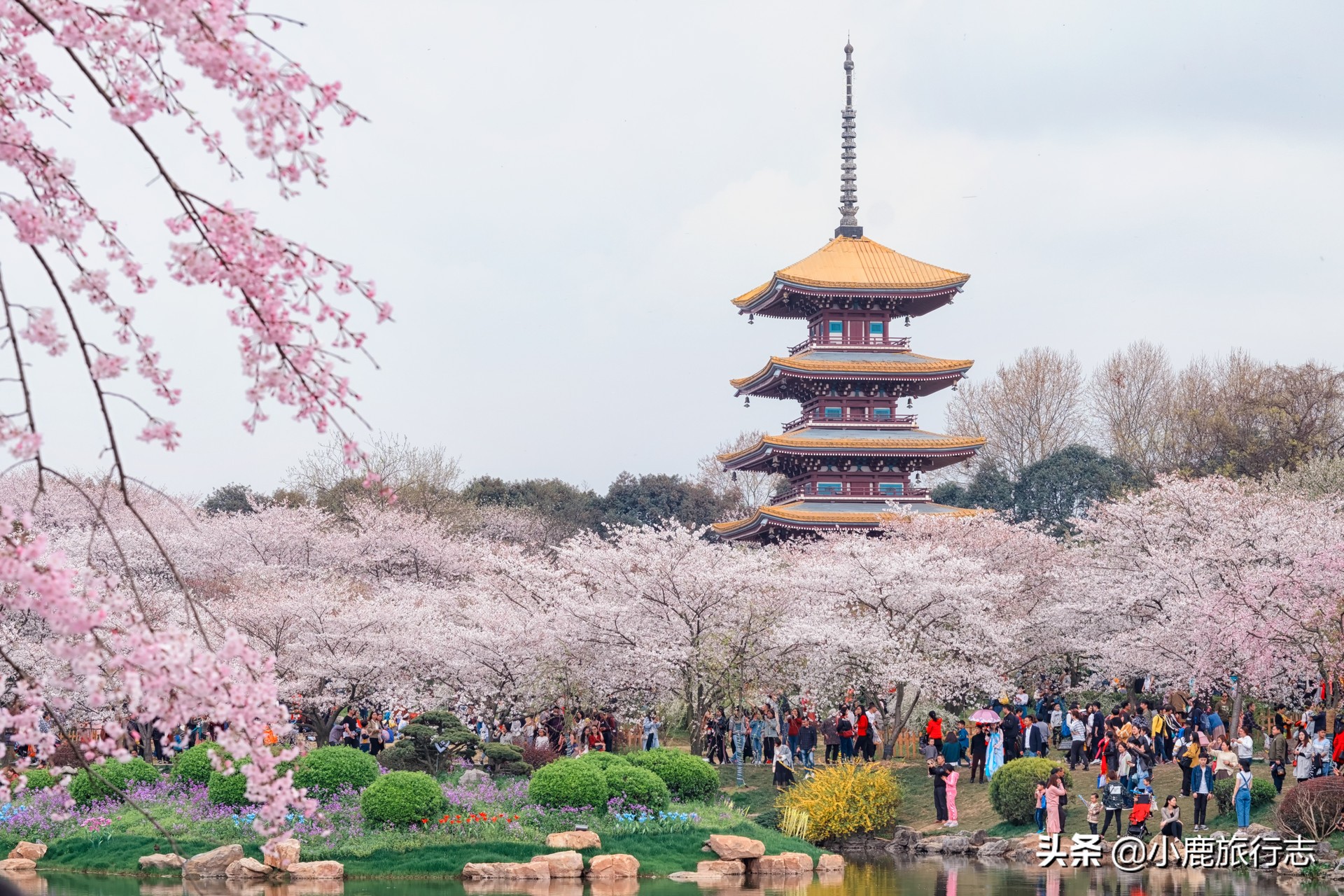 武汉6环包括哪些城市,武汉城中湖