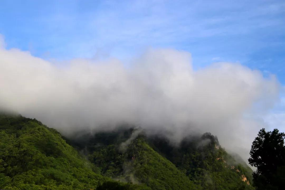秦岭小九寨沟黄柏塬,陕西秦岭九寨黄柏源