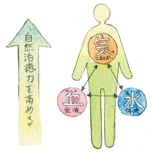 寒性、热性食材怎么分？汉方药师教你用吃的调气血