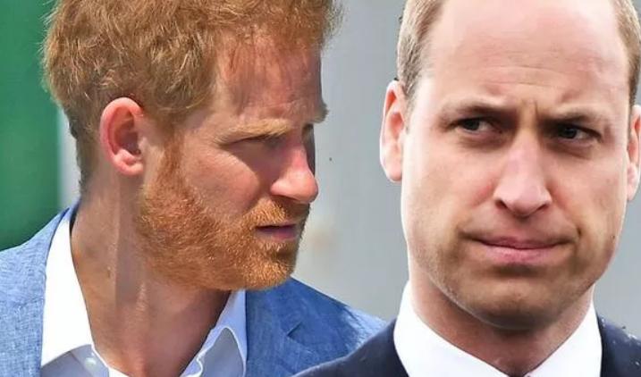 哈里退出王室对威廉有伤害吗,威廉和哈里为什么关系不和