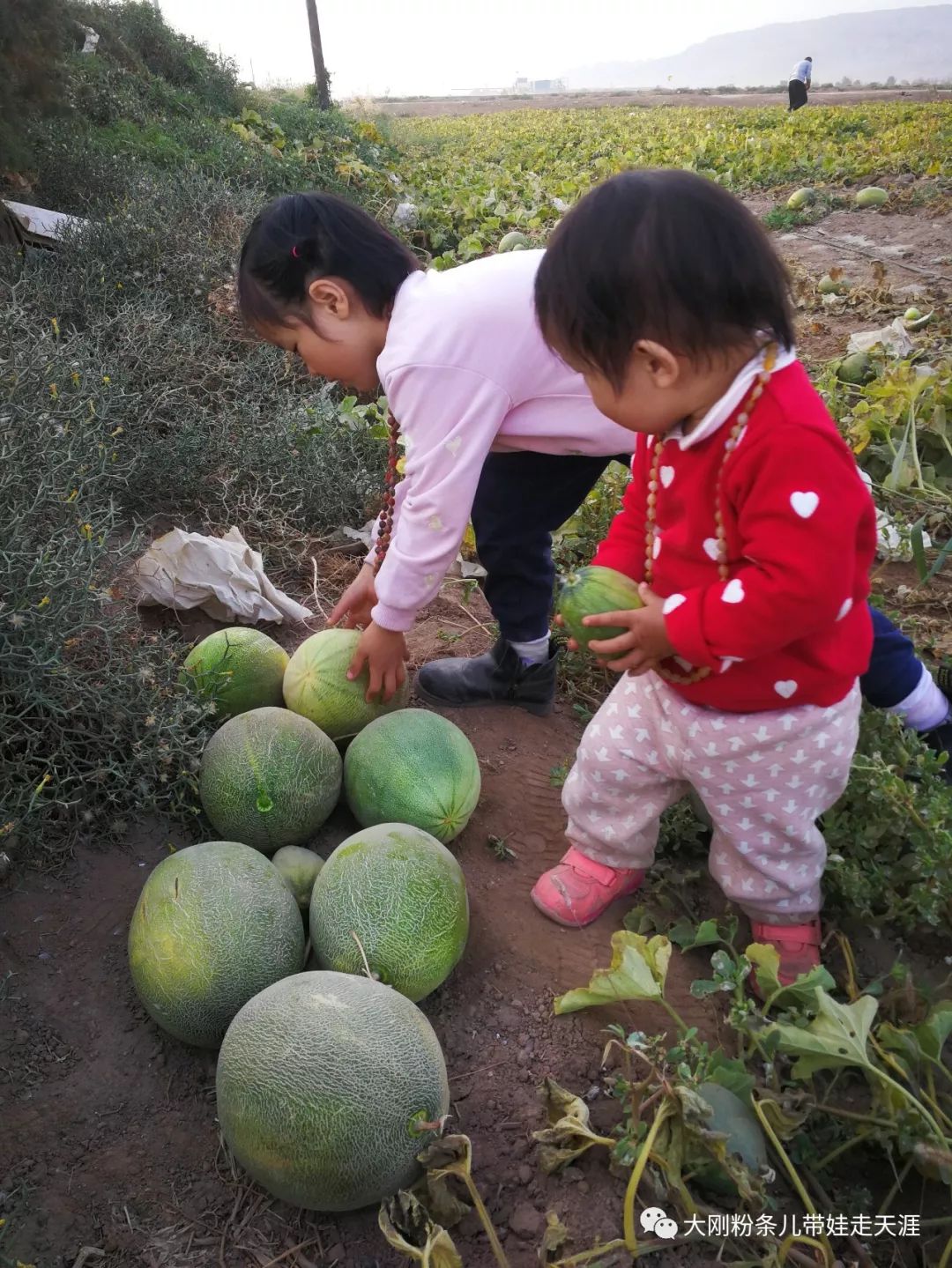 舌尖上的旅行带你领略旅行的美好,环游中国边界