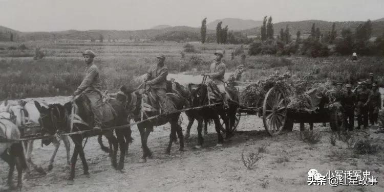 112师炮兵团火箭炮营,陆军38军112师炮兵团
