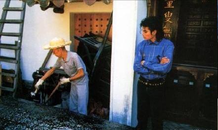 迈克尔杰克逊生活纪实,迈克尔杰克逊居住的地方现状