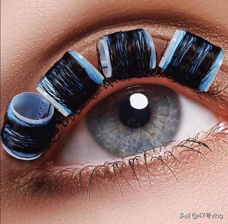 家里两只猫咪可以一起养吗,家里有宝宝适合养什么猫咪