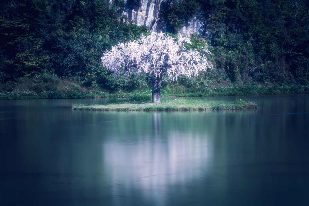 调色学不好怎么办,调色无思路